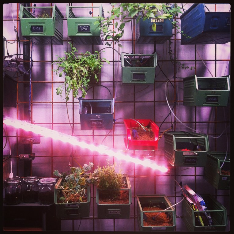 Eco-friendly urban farming at INFARM