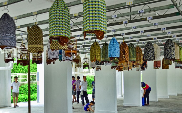 10108322783_66161d45df_o