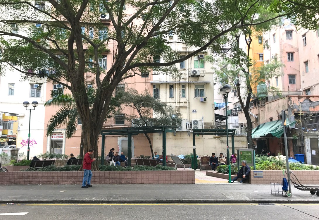 HamiltonStreetRestGarden